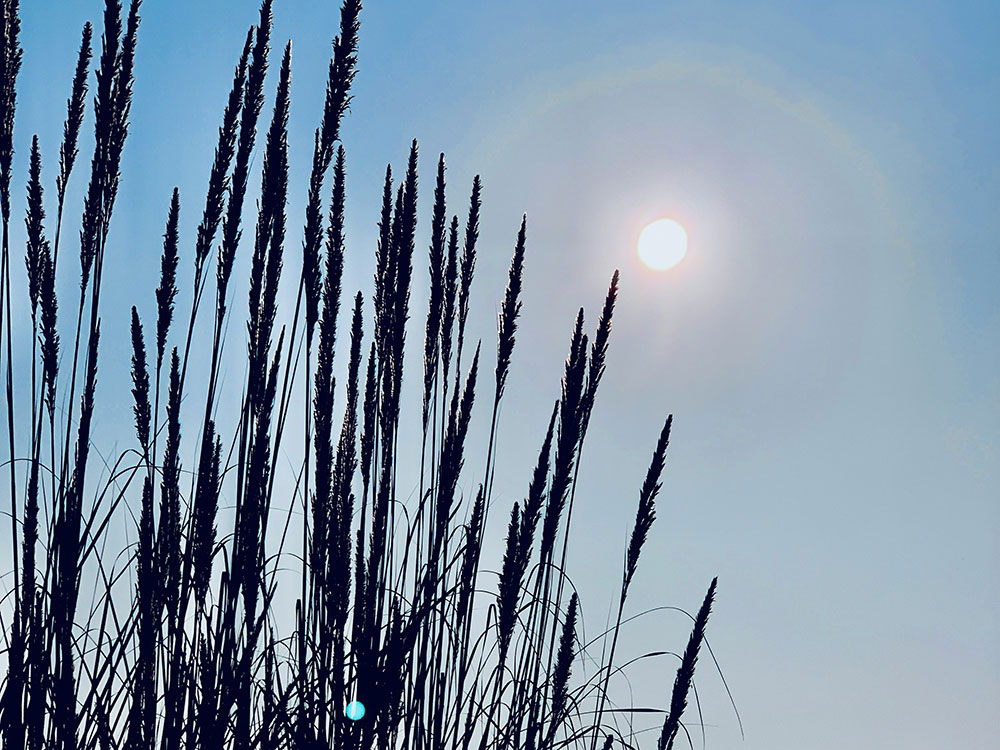 Med adjustments for DST